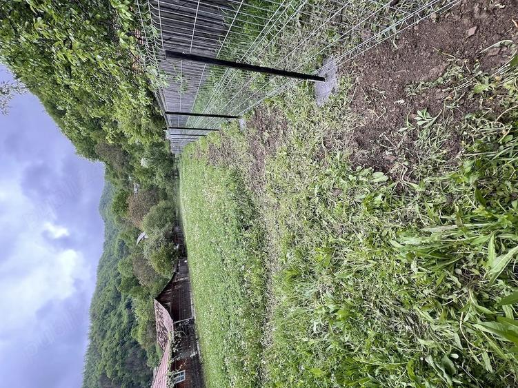 Teren de 580 mp, în Siriu