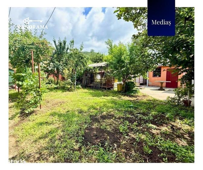 Casa pe un singur nivel, de vanzare in Medias, cartierul Mosnei - 2