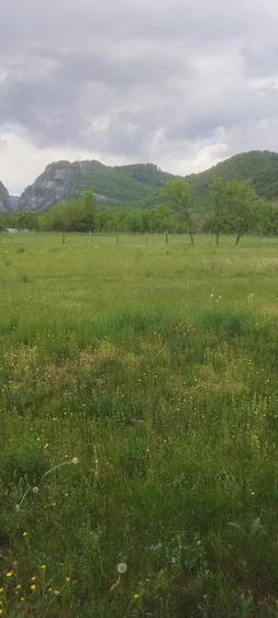 Teren de 6800 mp, în Polovragi