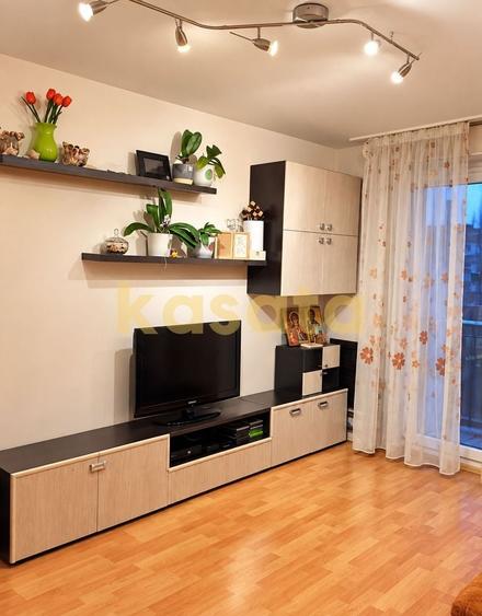 Apartament cu 2 camere decomandat, mobilat în Teiul Doamnei