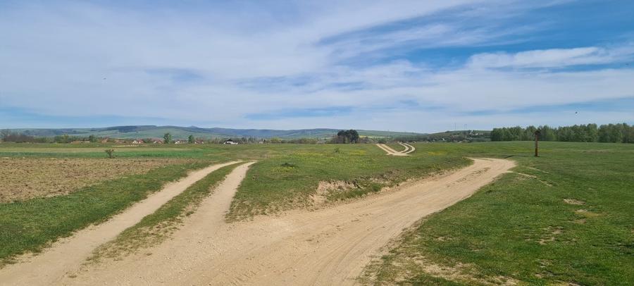 Teren agricol extravilan de 3000 mp, în Reci