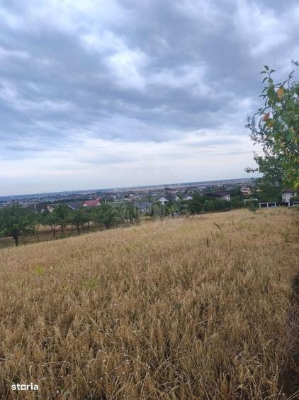 Teren Paulesti//10.000 Mp - 6