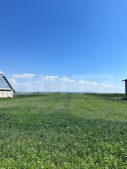 Teren intravilan, 9782 mp, zona Corocaiesti, Suceava - 2