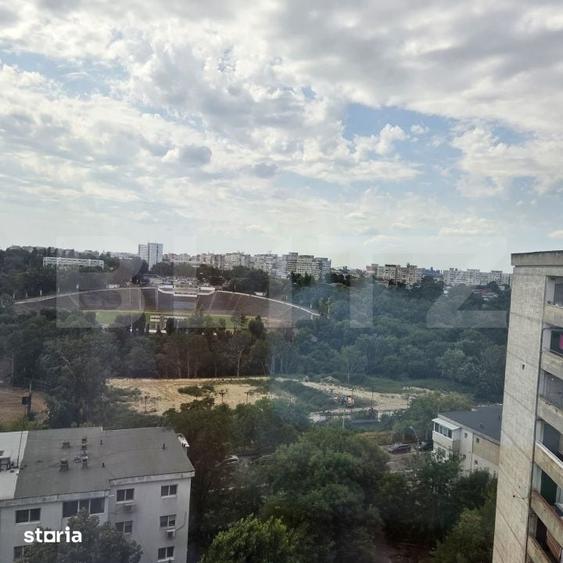 Garsonieră în Țiglina 1