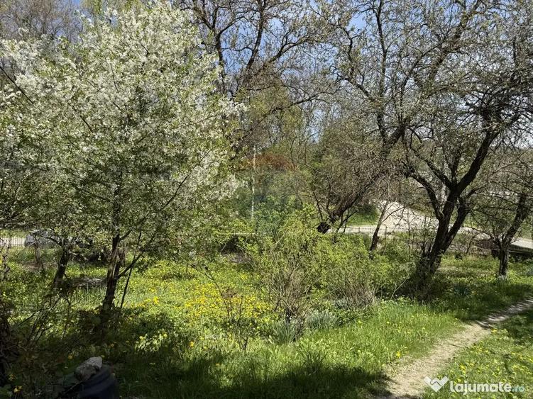 Casă cu 5 camere cu Teren 3056 Mp în Central