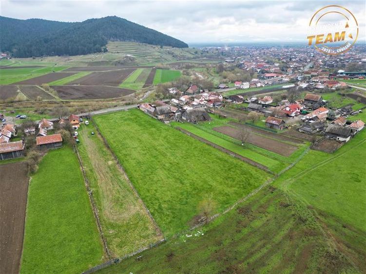 Teren Construcții intravilan de 8000 mp, în Sânzieni