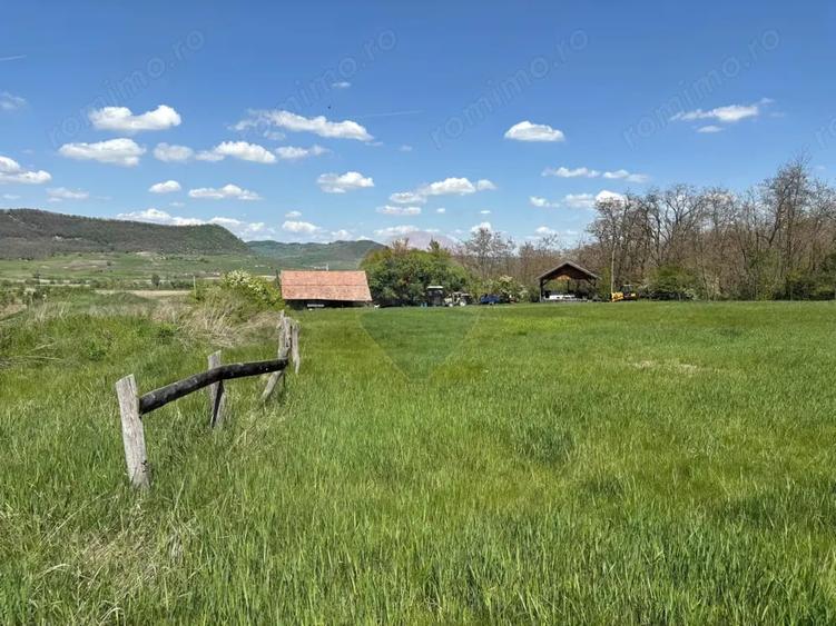 Teren de 659000 mp, în Copșa Mică