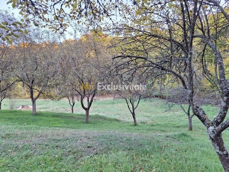 Teren Construcții intravilan de 600 mp, în Lăbușești