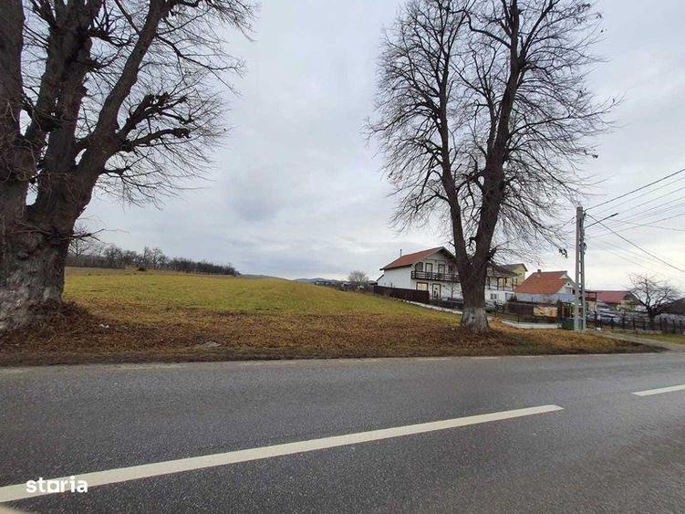 Teren de 7000 mp, în Agapia