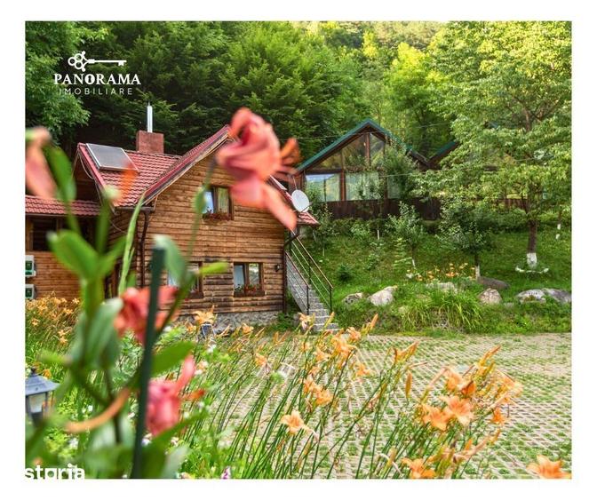 Casă cu Teren 29337 Mp în Râu Sadului