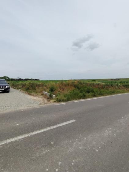 Teren Construcții intravilan de 1000 mp, în Măriuța