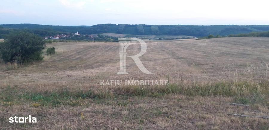 Teren de 9664 mp, în Sânmartin