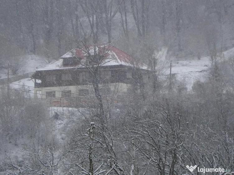 Casă cu 10 camere în Varlaam