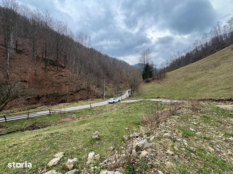 Teren de 12877 mp, în Bulz