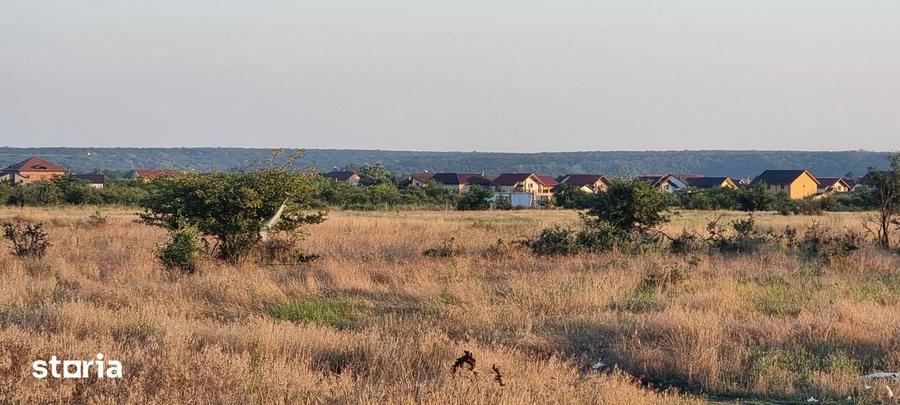 Teren 5000 mp Rovine 2(Troaca) - 2