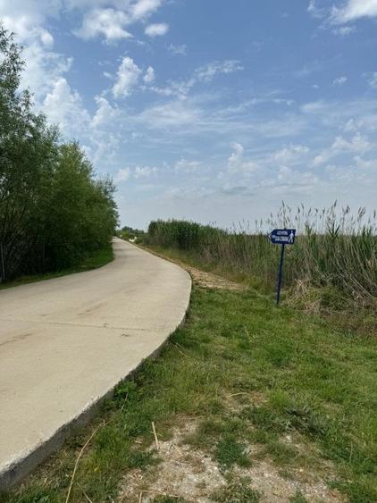 Teren Construcții intravilan de 10000 mp, în Comana
