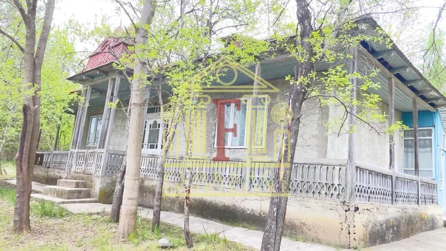 Teren Construcții intravilan de 3200 mp, în Rusenii Vechi