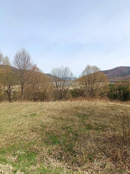 Teren Darmanesti, zona lac Valea Uzului, 3200 mp - 1