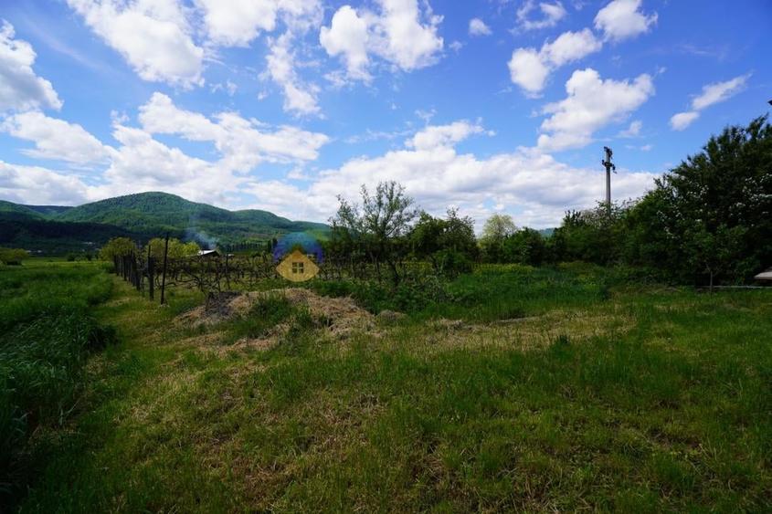 Teren intravilan de 9000 mp, în Vânători