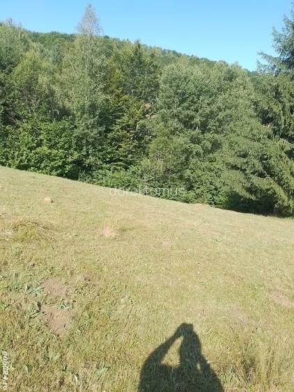 Teren de 10000 mp, în Avram Iancu