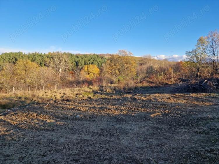 Teren de 1000 mp, în Cisnădioara
