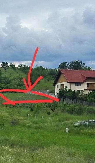 Teren agricol intravilan de 1884 mp, în Schinteiești