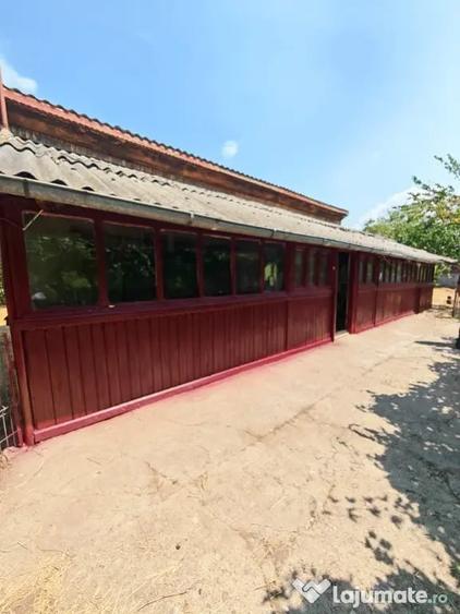 Casă cu 2 camere cu Teren 900 Mp în Brăgăreasa