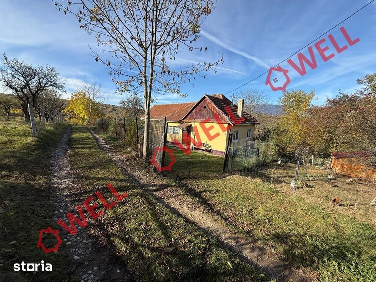 Casă cu Teren 4831 Mp în Bran