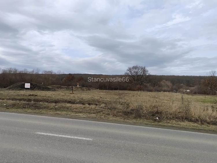 Teren Construcții intravilan de 750 mp, în Șelimbăr