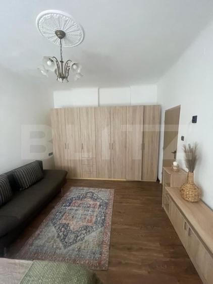 Apartament 1 camera de inchiriat, 40 mp, zona Ultracentrala - 4