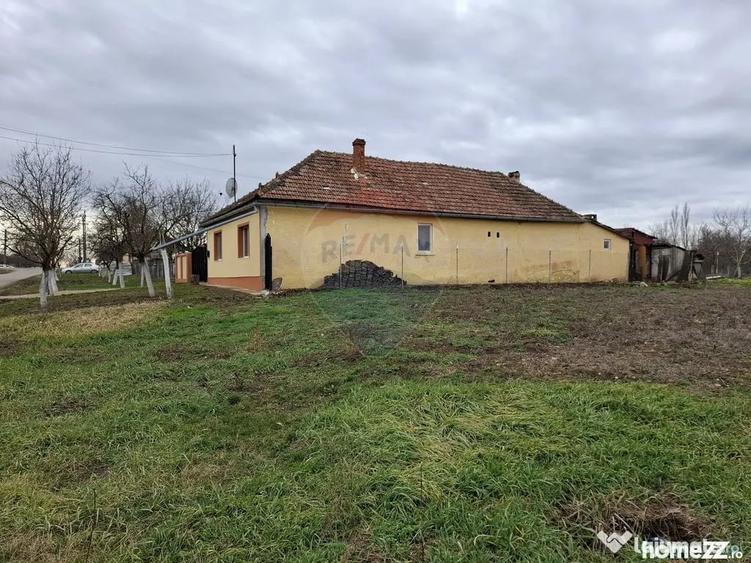 Teren în Frumușeni