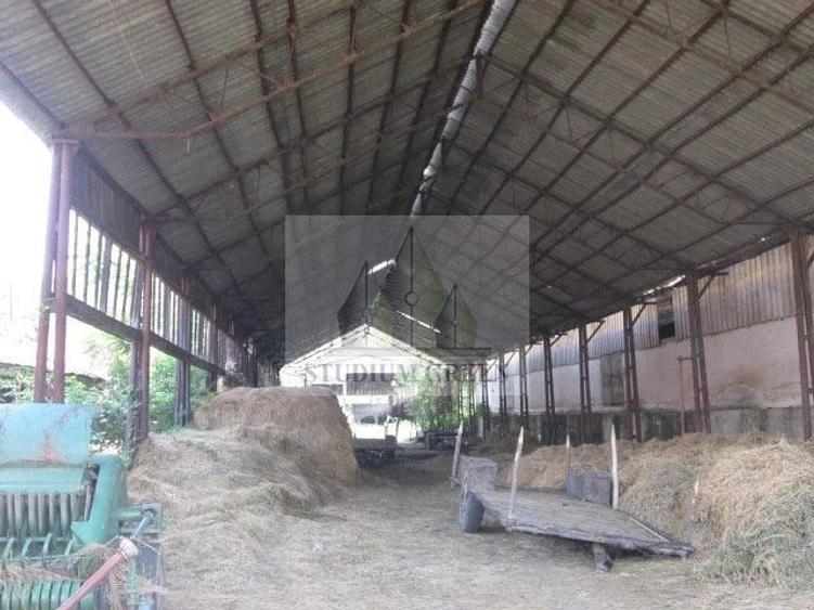Teren de 12580 mp, în Șopotu Vechi