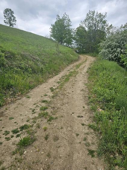 Teren de 50000 mp, în Sichevița