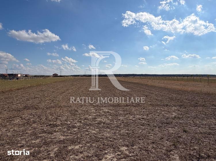 Casa cu livada, gradina ?i anexe, | Les | Oradea - 11