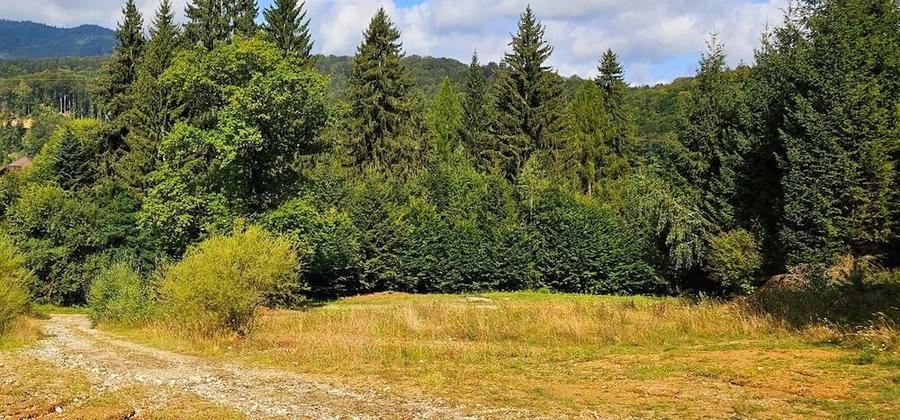 Teren de 550 mp, în Central