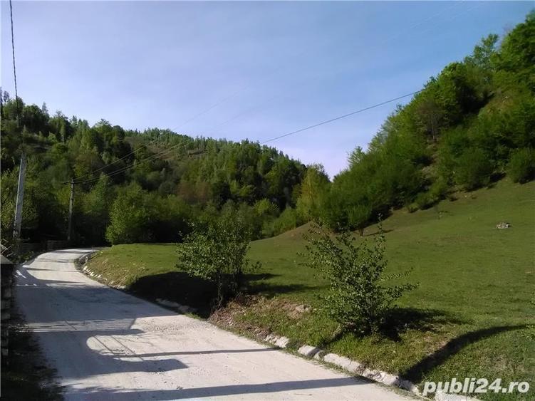 Teren de 5500 mp, în Pietroasa