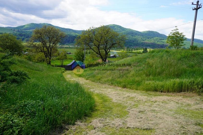 Teren intravilan de 9000 mp, în Vânători