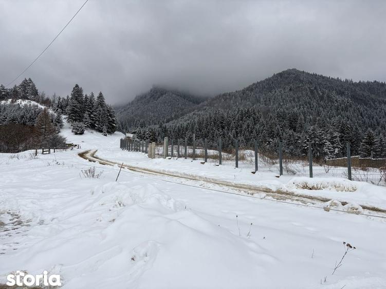 Teren de 580 mp, în Turcheș