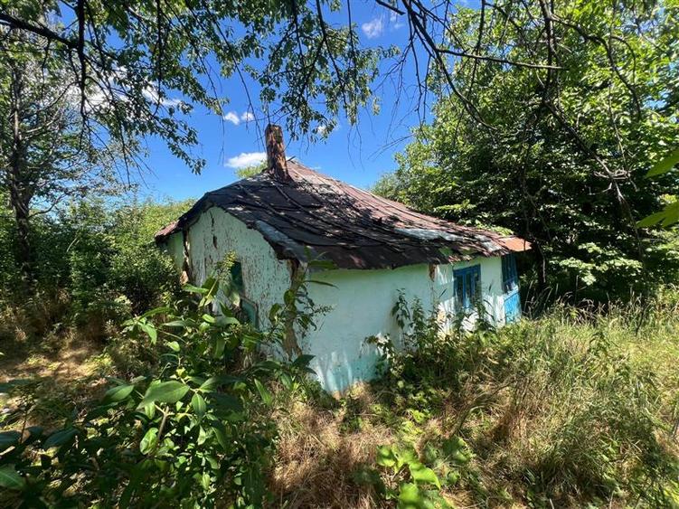 Teren Construcții intravilan de 17475 mp, în Tomești