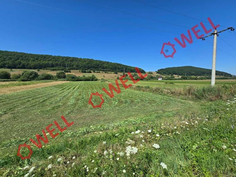 Teren extravilan de 3450 mp, în Valea Mare