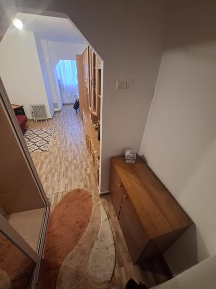 Garsonieră decomandată, mobilată în Nicolina
