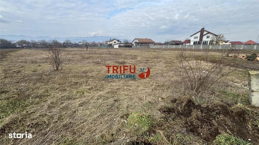 Spațiu comercial, în Partoș
