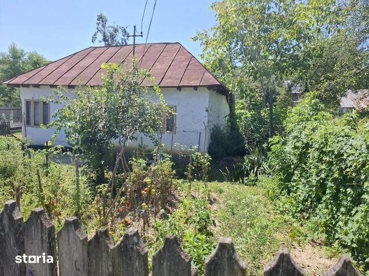 Casa traditionala de vinzare - 1