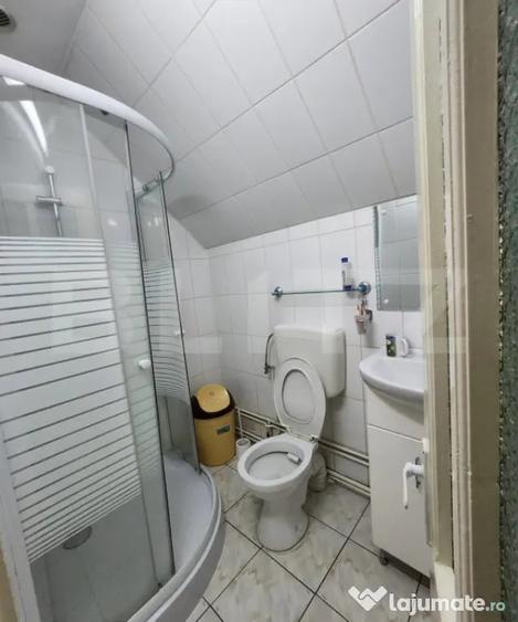 Casă cu 9 camere cu Teren 1500 Mp în Criș