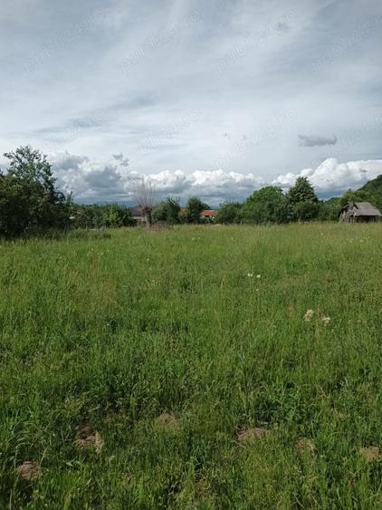 Teren de 5000 mp, în Central