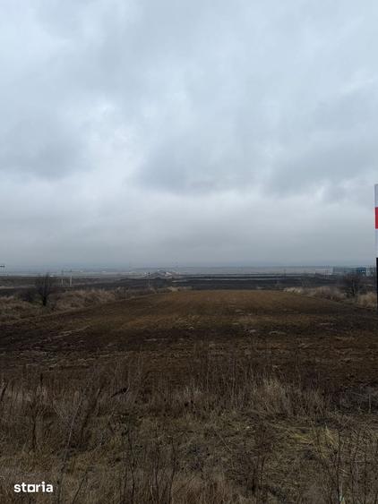 Teren de 12500 mp, în Nicolae Bălcescu