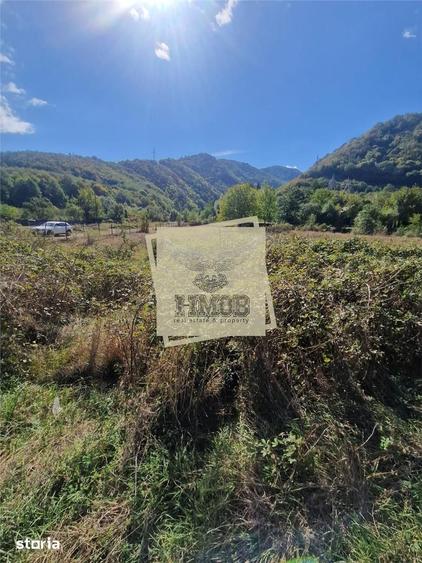 Teren de 4360 mp, în Câineni