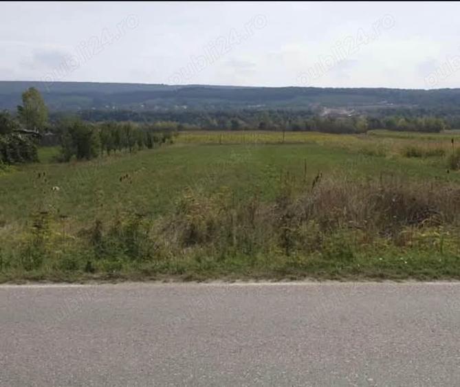 Teren de 1700 mp, în Bascov
