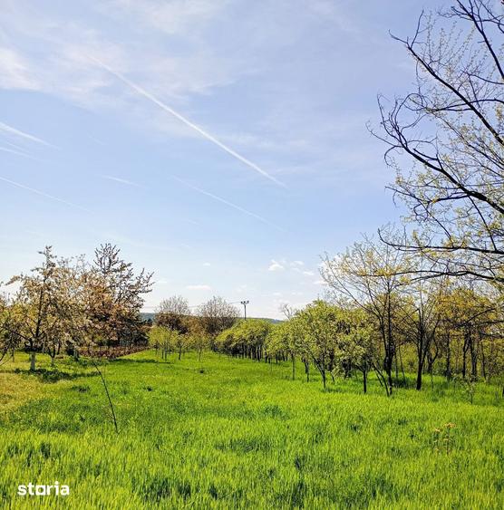 Teren de 3715 mp, în Boldești