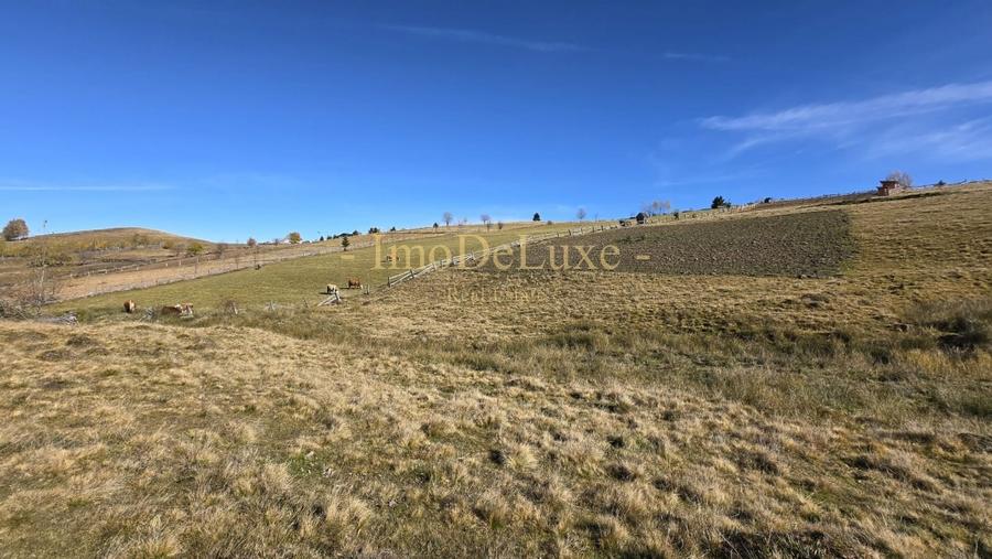 Teren agricol extravilan de 4130 mp, în Mărișel